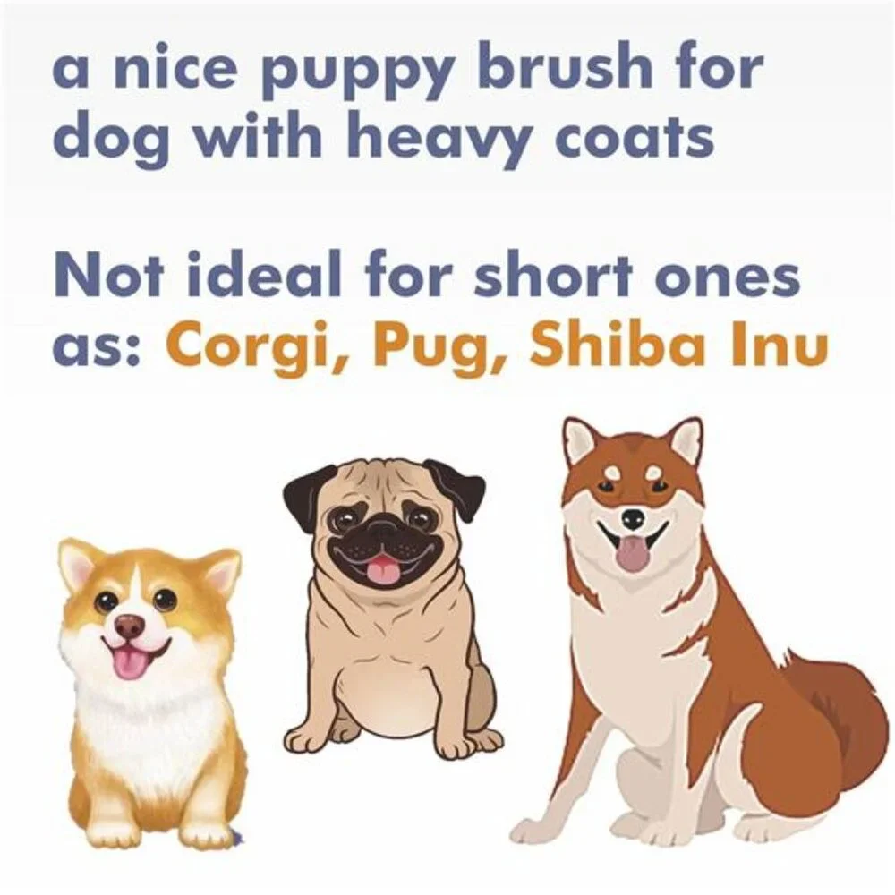 N/A 🧿🐕 tied